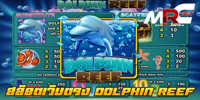 สล็อตเว็บตรง DOLPHIN REEF เกมยอดนิยม เล่นง่าย จ่ายหนัก ฝาก-ถอนไว